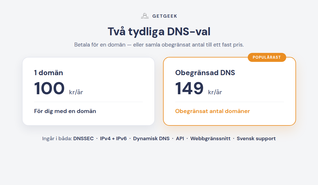GetGeek DNS: 1 domän 100 kr/år, Obegränsad DNS 149 kr/år